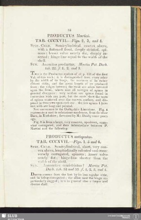 Productus Martini. Tab. CCCXVII. - Fig. 2, 3, and 4