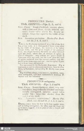 Productus Martini. Tab. CCCXVII. - Fig. 2, 3, and 4