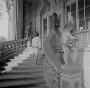 Dresden. Zwinger, Treppe mit Putti