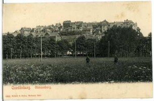 Quedlinburg. Münzenberg