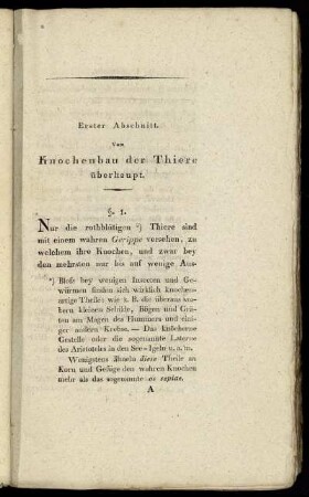 Erster Abschnitt. Vom Knochenbau der Thiere überhaupt