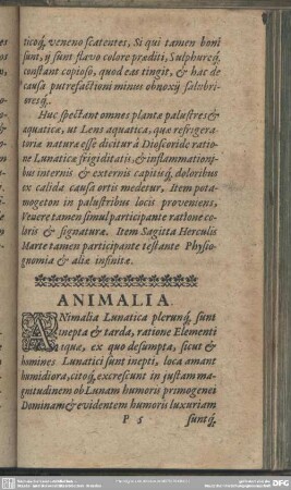 Animalia