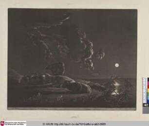 [Nächtliche Landschaft mit Kühen; Nightly Landscape with cows]