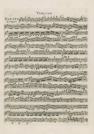 Violine