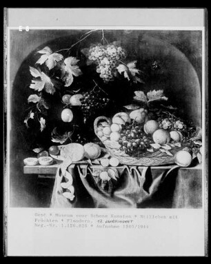 Stilleben mit Früchten
