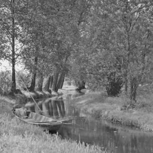 Landschaftsbild. Trotzkefließ in Leipe. : Wobraz krajiny. Groble w Lipjem.