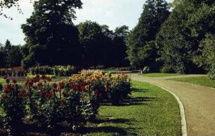 Dresden. Großer Garten. Dahliengarten