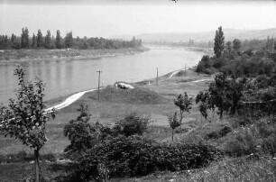 Rheinweiler: Rheinufer, Blick nach Norden
