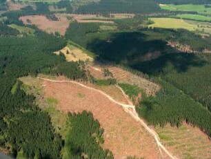 Langewiesen : Windbruch