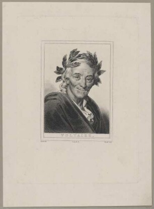 Bildnis des Voltaire
