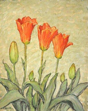 "Rote Tulpen" (botan.)