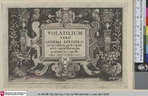 [Titelblatt]: Volatilium Varii Generis Effigies