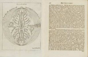 Tafel: Tom. II. Tab. III.