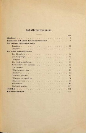 Beiträge zur Morphologie und Physiologie der Bacterien, 1. Zur Morphologie und Physiologie der Schwefelbacterien