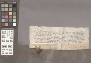 Mainz (St. Jakobsberg): Transfix zu einer Urkunde: Indulgentiae pro Monast. St. Jacobi in Monte speccioso prope muros Mogunt.