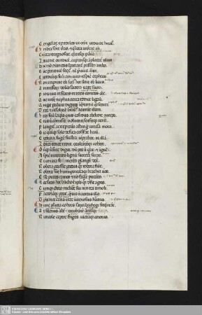 Bl. 125