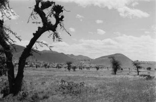 Am Gauaba-Vulkangebirge : Blick auf eine Savannenlandschaft mit Bäumen und vulkanischer Bergkette im Hintergrund.