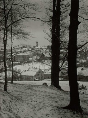 Hartenstein, Stadtansicht : Hartenstein. Stadtansicht mit Stadtkirche vom Schloßberg (von Südosten). Winteraufnahme