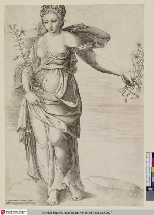 Se rapita lasciai verdure et fiori, regina hor godo, et piene anco le mani, lieta ne tengo di piu grati odori [Proserpina?]