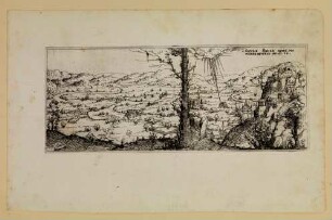 Weite Landschaft mit einem Baum in der Mitte