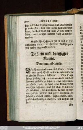 Das ein und dreysigste Kapitel. Benjaminsblumen.