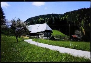 Breitnau: Schwarzwaldhof, Vordergrund Weg zum Hof