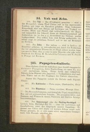 35. Papageien-Gallerie.