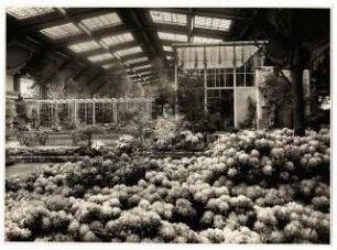Ausstellungsgarten Deutsche Gartenbau-Ausstellung 1933, Berlin: Innenansicht Ausstellungshalle, Frühlingsgarten, im Hintergrund der Exotische Wassergarten