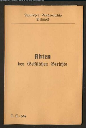 Anna Margrete Deppe in Hörstmar gegen Johann Henrich Cater in Hörstmar, Sohn des Leibzüchters, wegen einer Schwängerung
