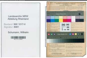 Entnazifizierung Wilhelm Schumann , geb. 02.08.1903 (Schleifer)