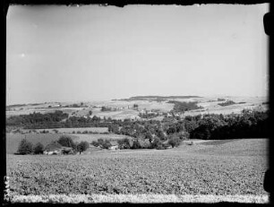 Blick auf Kloster Marienthal