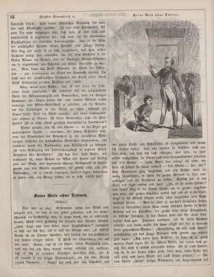 "Keine Rose ohne Dornen"