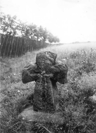 Tatzenkreuz. Feldrain am Ziegelsberg