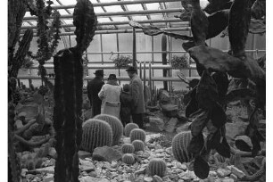 Besuch im Gewächshaus des Botanischen Gartens.