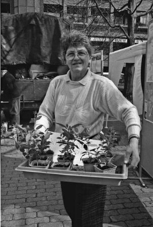 Rathausplatz: Pflanzenflohmarkt für die Viljandi-Hilfe: Elfriede Haupt verkauft Fuchsien