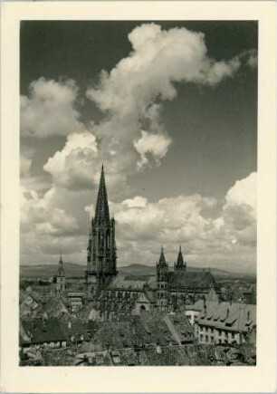 Das Münster in Freiburg