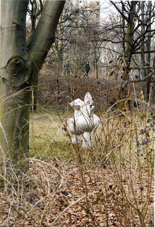 Zwei sich wandelnde Vasen