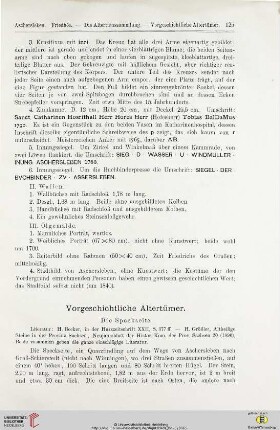 Vorgeschichtliche Altertümer