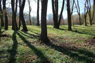 Ballenstedt - Bäume im Gegenlicht : Frühling im Schlosspark Ballenstedt, Sachsen-Anhalt, 29 Hektar großer denkmalgeschützter Park, jetzt im finanziellen Mitteln der EU-Regionalförderung gründlich saniert. Aufgenommen in Ballenstedt, 2007