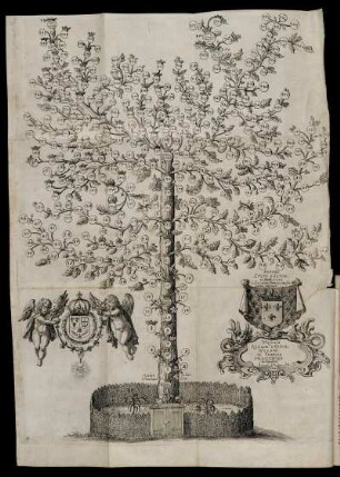 Kupferst. "Summa Legis Salicae"