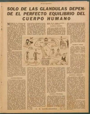 Solo de las glándulas depende el perfecto equilibrio del cuerpo humano