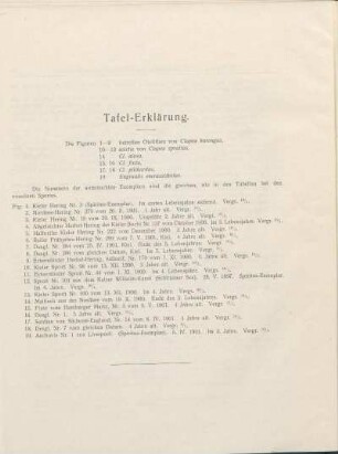 Tafel-Erklärung.