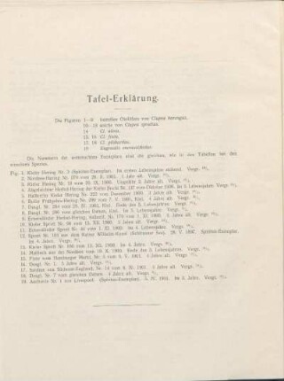 Tafel-Erklärung.