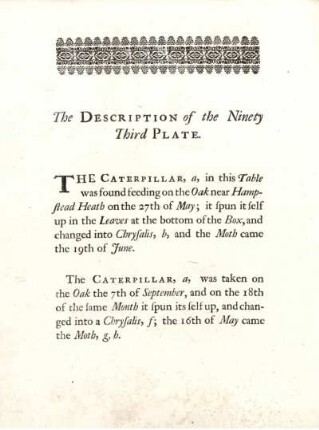 The Description of the Ninety Third Plate