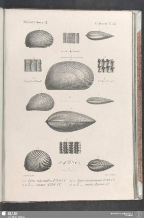 Pl. 421