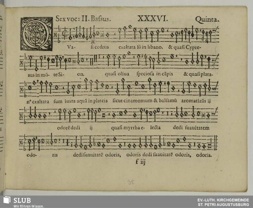 XXXVI. Quasi cedrus exaltata sum