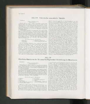 Abb. 178 Chronische interstitielle Masitis