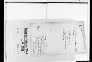 Prozeßakten. Magistrat als Inhaber des Laienpatronats Venne ./. Henrich Münster zu Lindhövel und Rentmeister Freusberg zu Davensberg wegen Holzgerechtsame in der Davert.