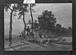 Schafhirte mit seiner Herde