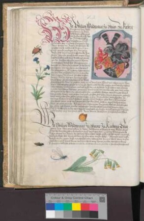 Wildgraf Philipp von Dhaun zu Kirchberg
